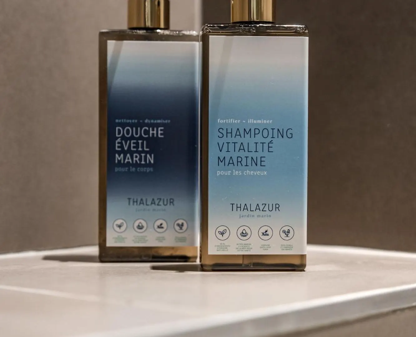 Hotel Thalazur Carnac